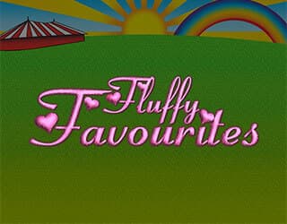 Fluffy Favourites