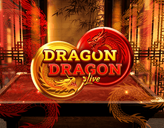 Dragon Dragon